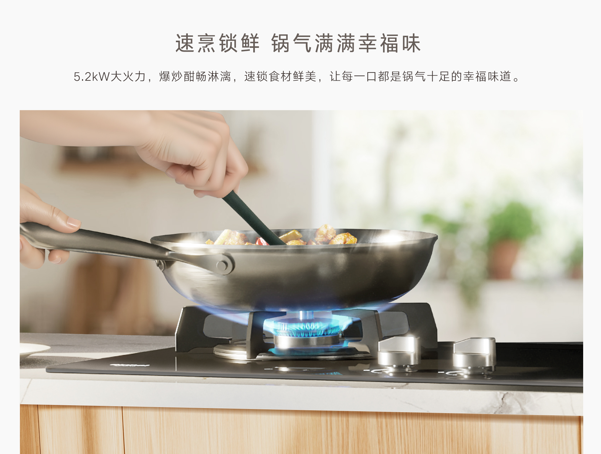 2RLM1(Z)燃?xì)庠?產(chǎn)品詳情頁(yè)_02.jpg